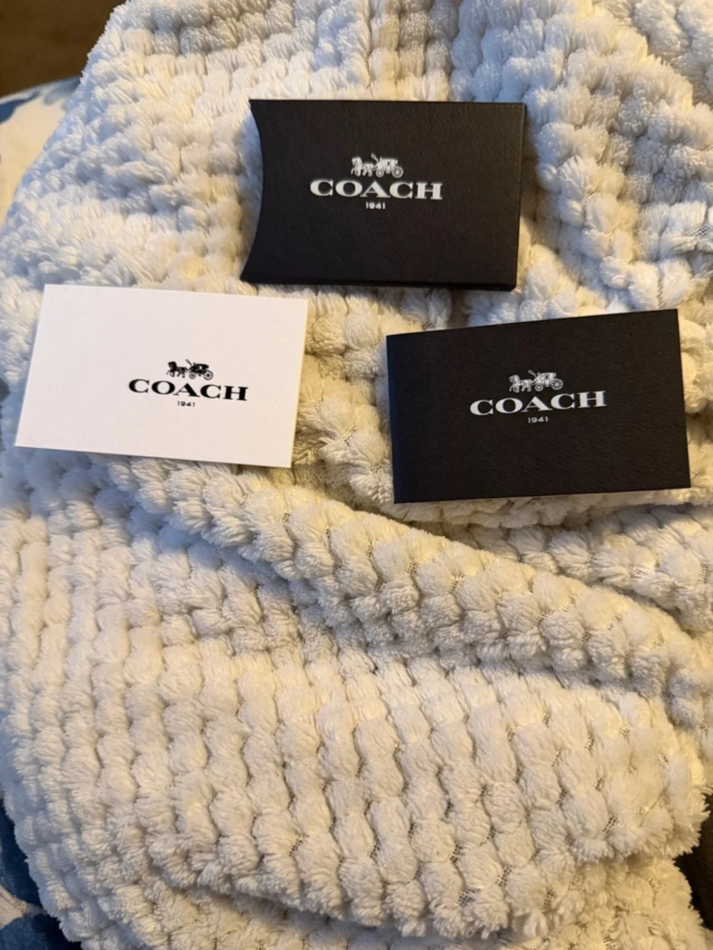 Coach Bailey Carryall - Picture 10 of 10